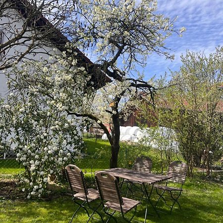Zimmer Zum Wohlfuehlen Eching  Экстерьер фото