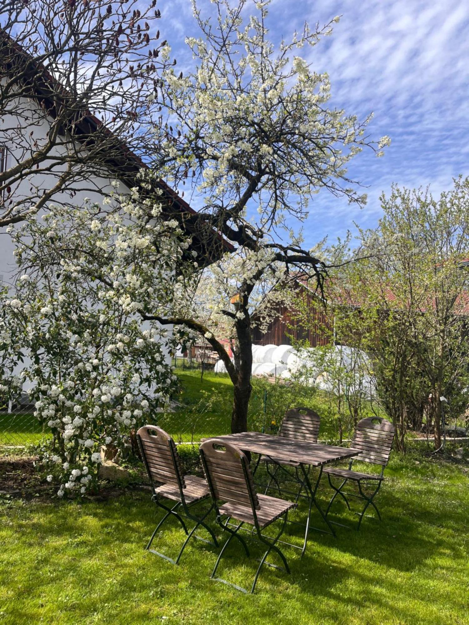 Zimmer Zum Wohlfuehlen Eching  Экстерьер фото